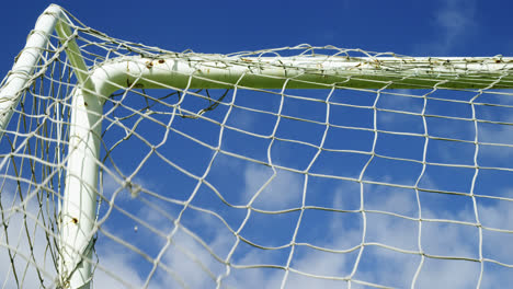 net goal post in the field