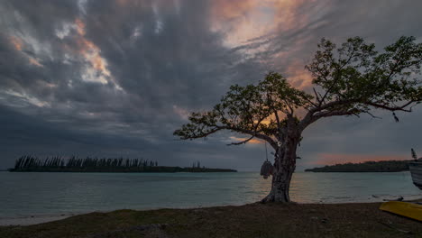 A-colorful-sunset-over-the-Isle-of-Pines-with-an-evergreen-bonsai-like-tree-in-the-foreground---dreamy-sundown-time-lapse