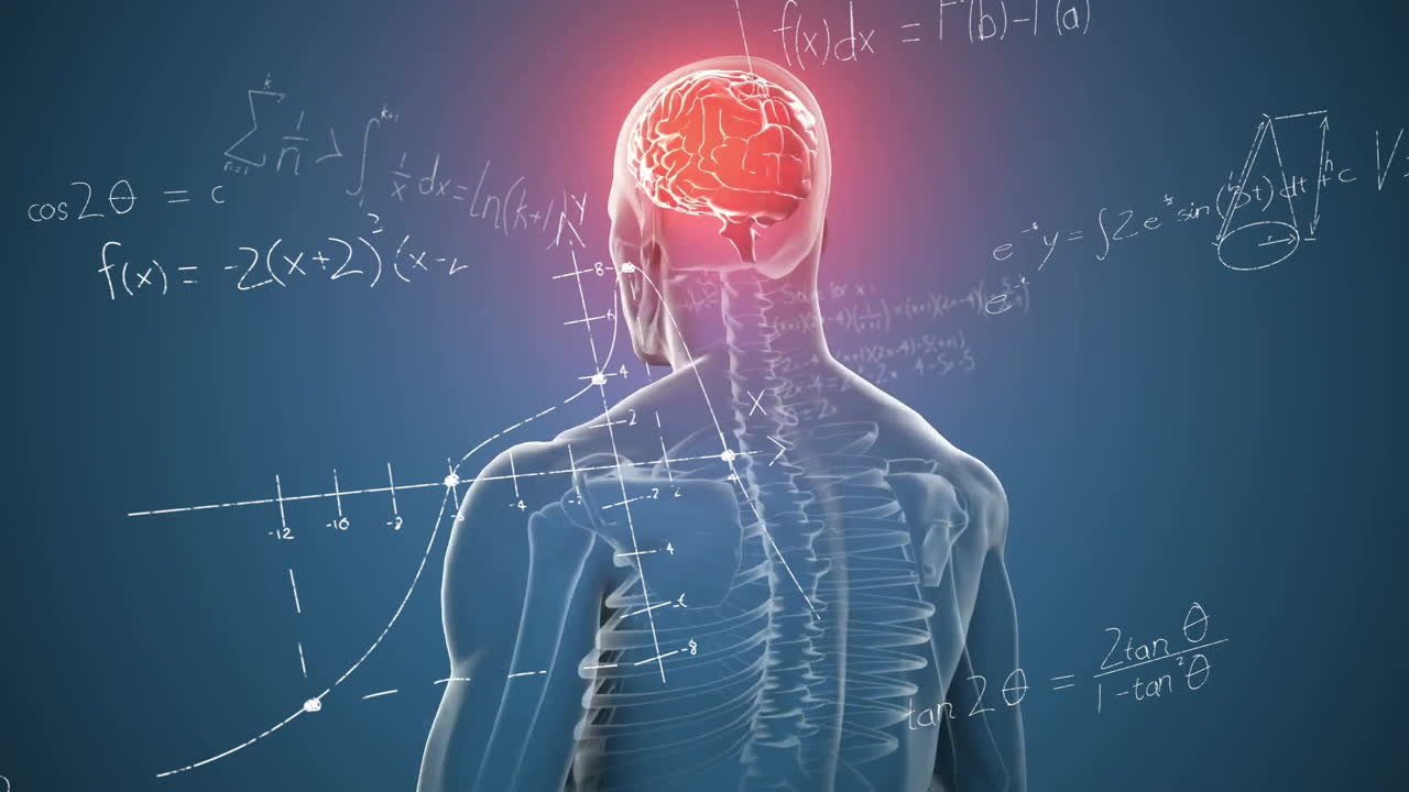 Animation of brain highlighted in human anatomy, surrounded by school math equations