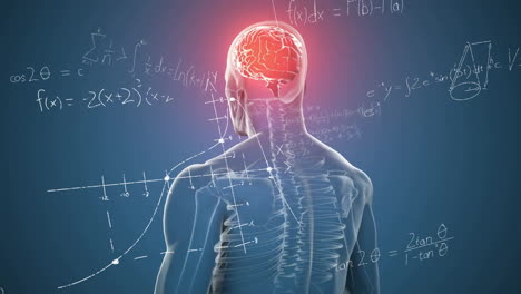 animation of brain highlighted in human anatomy, surrounded by school math equations