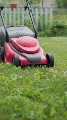 boy running with a lawn mower in the garden. mowing grass in the garden. close-up vertical video