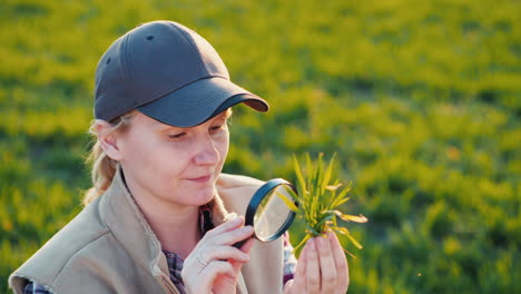 joven agrónoma estudiando brotes en el campo