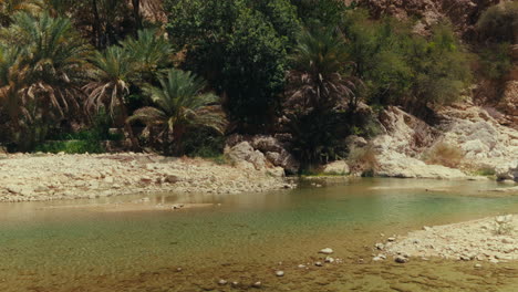 oasis river in a desert valley