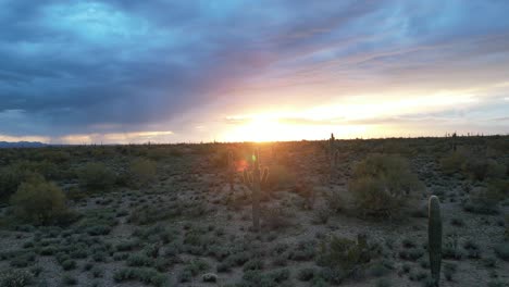 aerial view approaching saguaro cacti in arizona desert on a stormy sunset evening