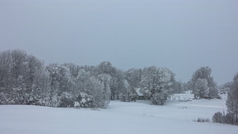 snow covered rural landscape, house hidden in trees with bad weather closing in