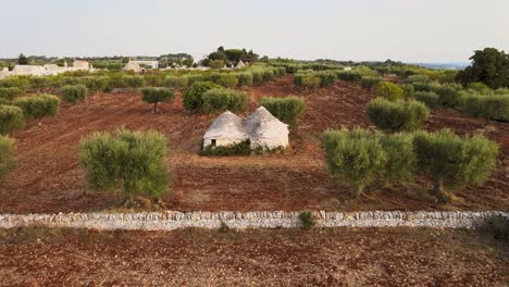 vista aérea del paisaje sobre los edificios únicos de piedra trulli tradicionales, en italia