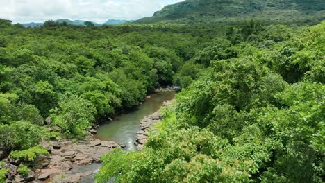 observing a beautiful jungle stream during flight over a thick forest of india