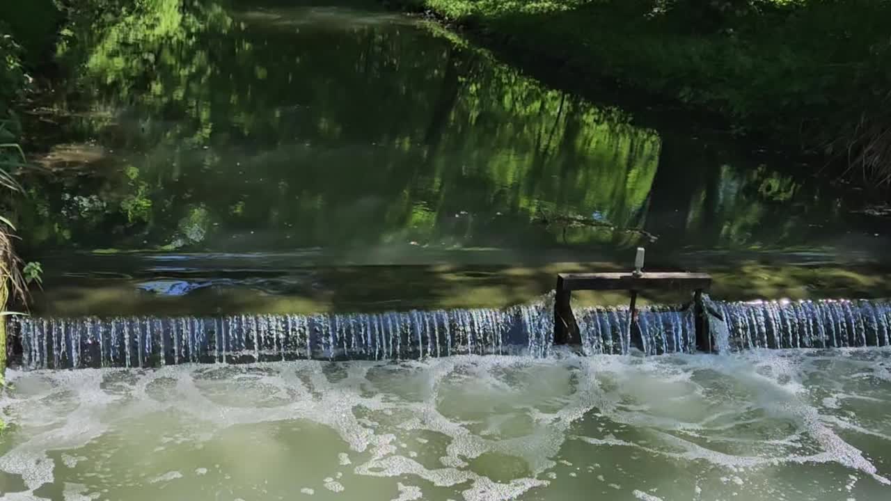 이 형성되고 물이 반사되는 작은 물줄기의 근처의 숲 지역