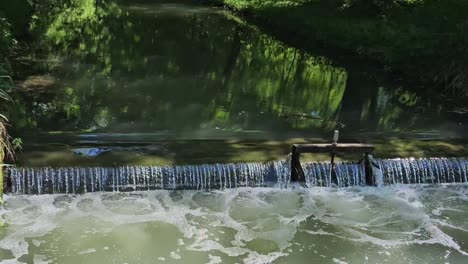 Close-up-of-small-water-stream-with-foam-forming-and-water-reflecting-woodland-area