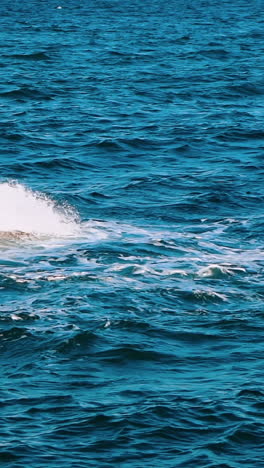 sea wave close up. close up of blue sea surface with waves