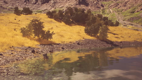 peaceful lake and mountains