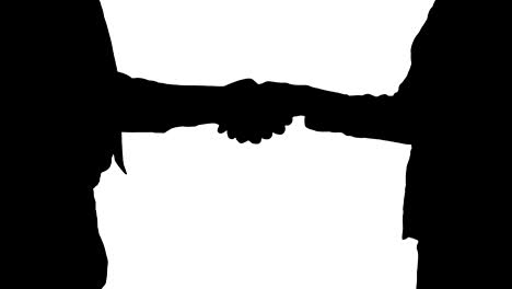 silhouette hands of businessman and businesswoman handshaking