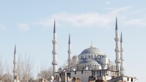 blue mosque view 00