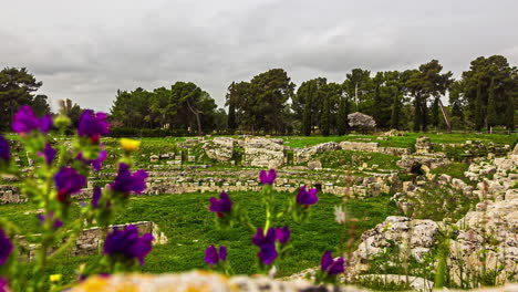 greek theater with blooming purple flowers in italy, time lapse view