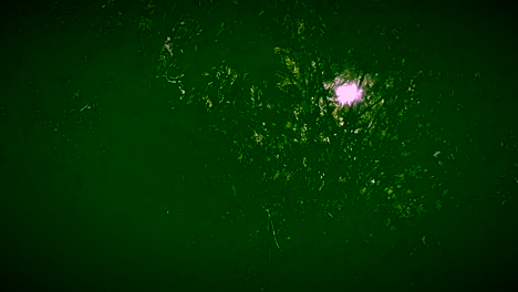 Street-Light-shining-through-green-foliage-at-night