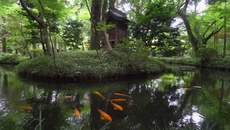 Beautiful-place-at-Heirinji-Temple-in-Tokyo,-Japan