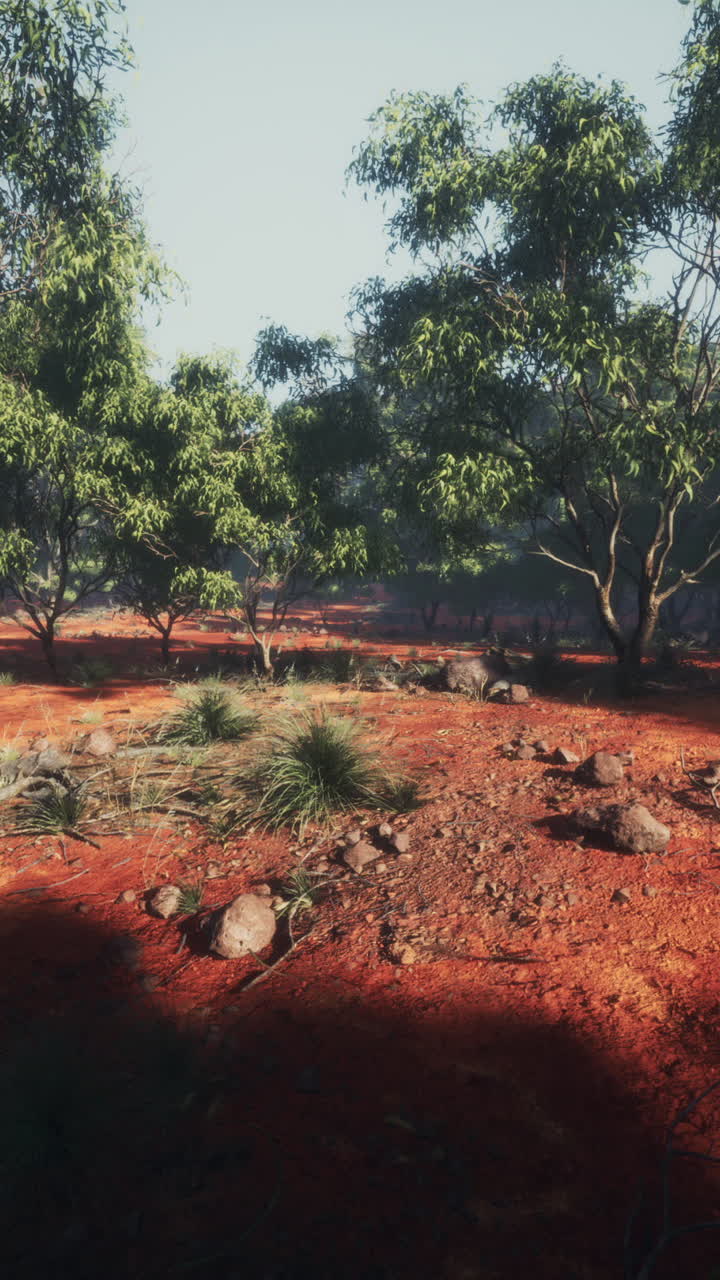 paisaje del interior de australia: tierra roja y escasa vegetación