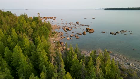 aerial reveal flyover pine trees of rocky beach and lake, lake huron, michigan