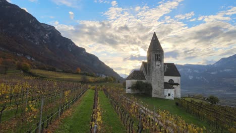 aerial drone over a medieval church in the middle of the vineyards in autumn in south tyrol