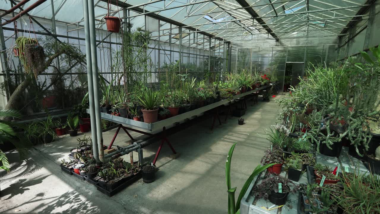 vista más amplia y movimiento de la cámara lateral izquierda desde otra parte del jardín botánico con muchas plantas