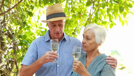 Senior-drinking-white-wine