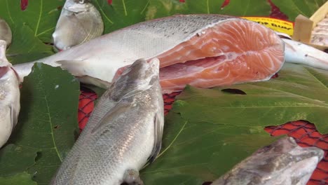 fresh fish at a market