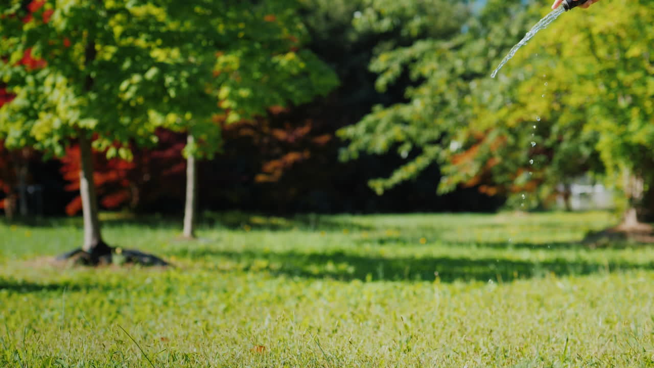 perro gracioso jugando con una manguera de jardín juega con el dueño y diviértete juntos