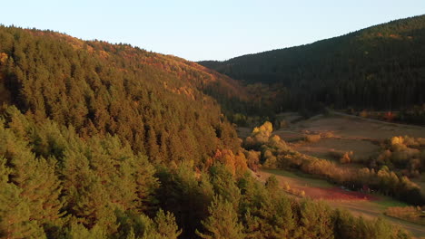 Fliegen-Auf-Bergen-Mit-Fichtenwald-Während-Der-Herbstsaison