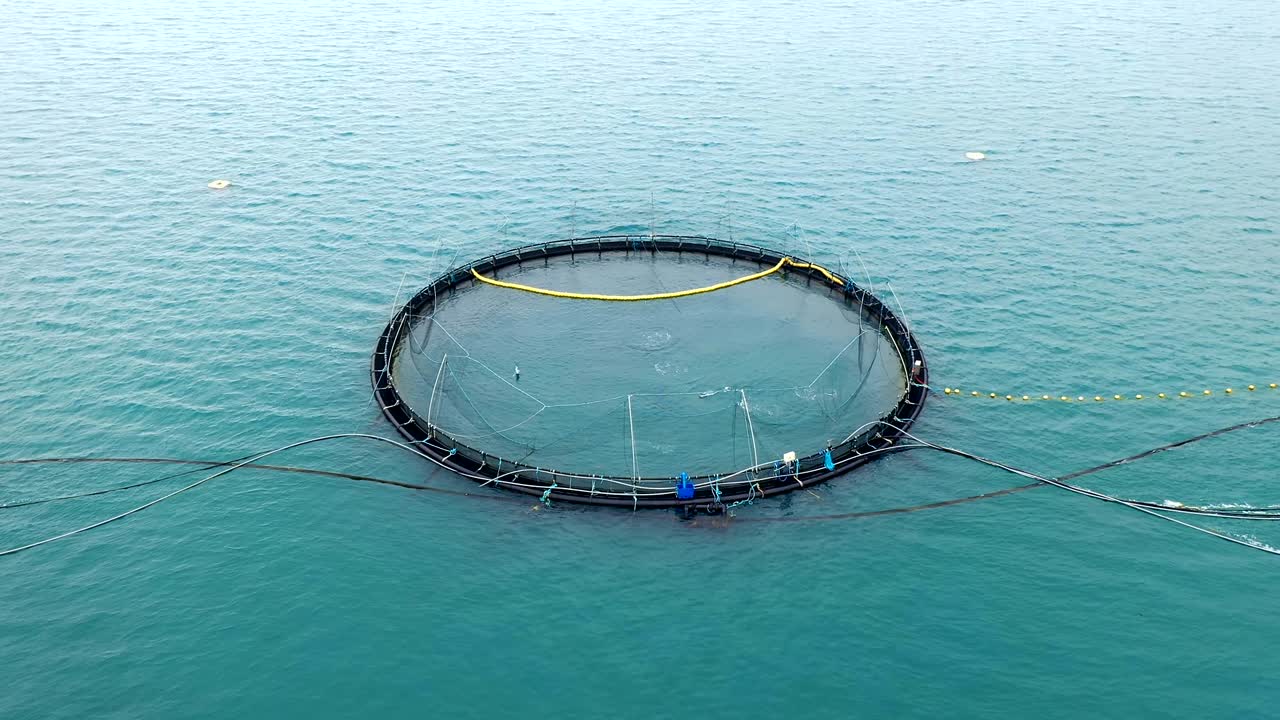 노르웨이에서 연어  ⁇ 시를 하는 공중 촬영