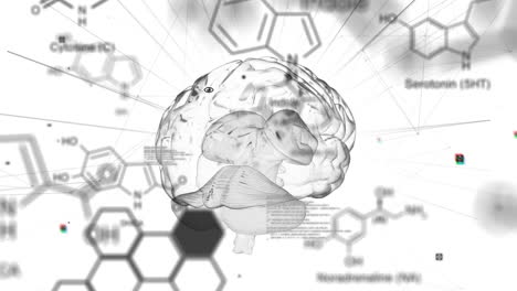 animación del cerebro digital y el procesamiento de datos sobre un fondo blanco