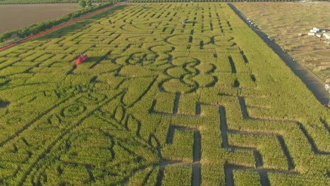 Libro-Guinness-De-Los-Récords-Mundiales-Laberinto-De-Maíz-Más-Grande-En-Dixon-California-Drone-Deriva-De-Todo-El-Laberinto