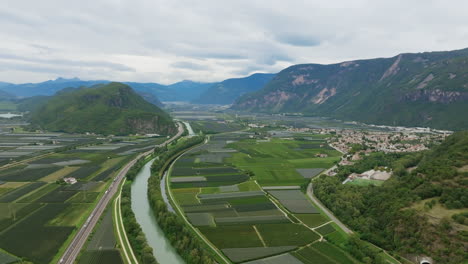 aerial footage flying over vast fields of grapes rotating around a large forested hill in the autonomous province of bolzano in italy.