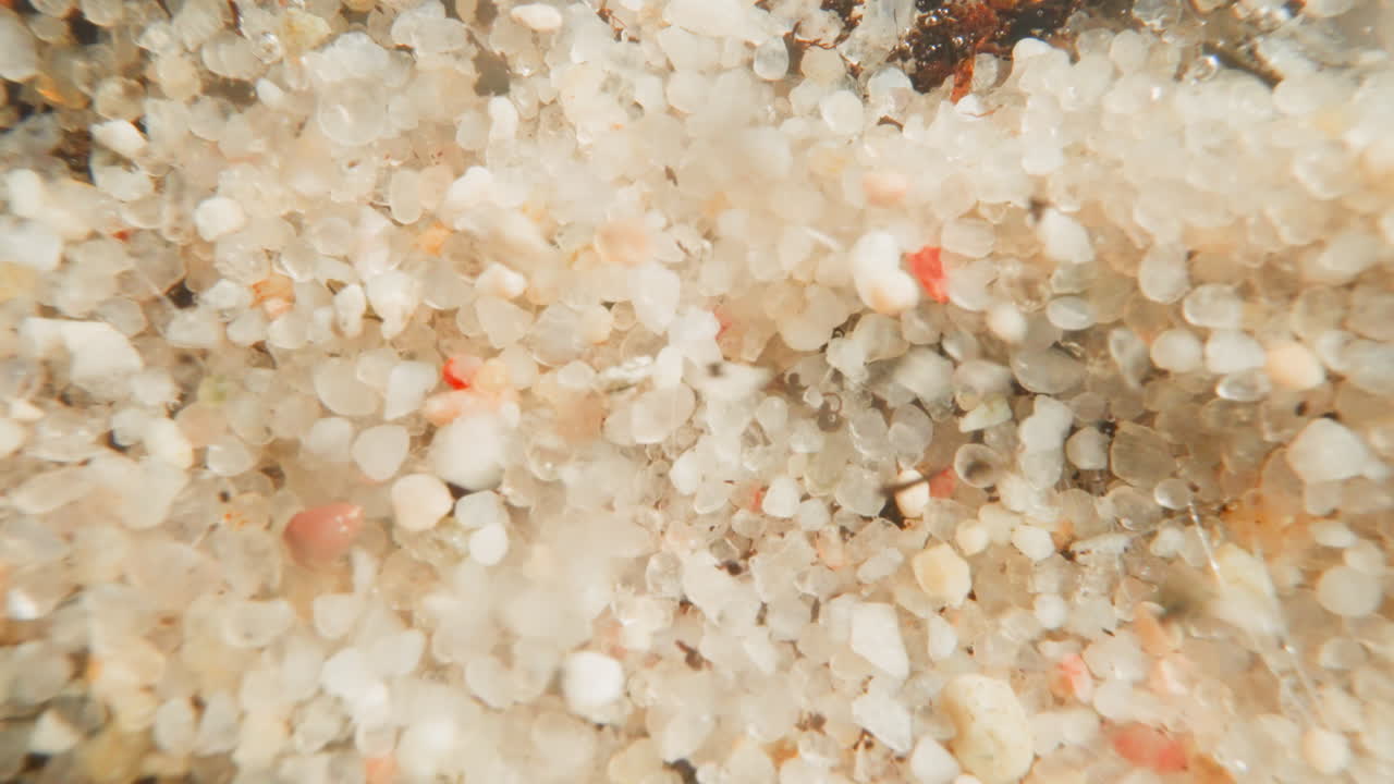 파도가 날카로운 바람이 바닥의 자갈을 앞으로 움직이는 후