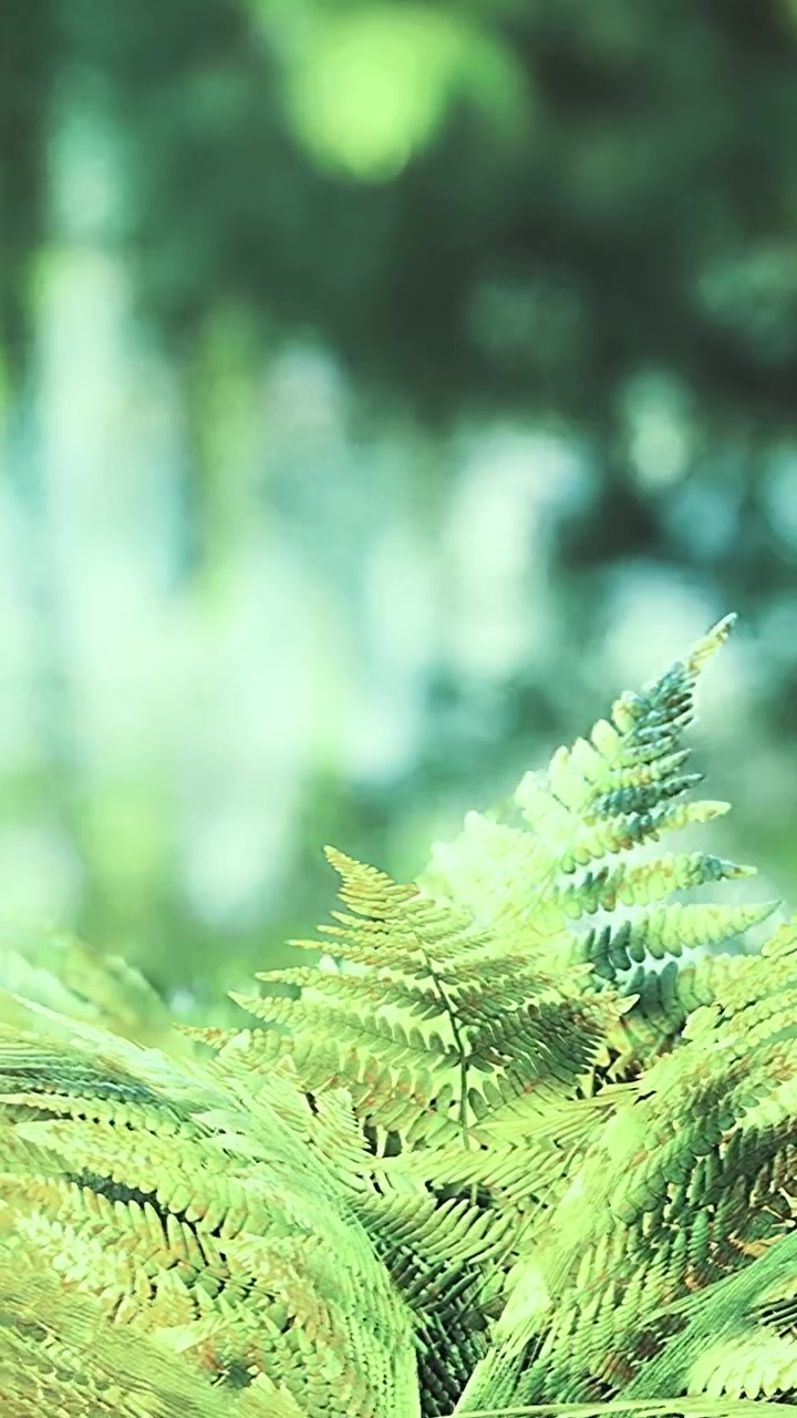 Felci che crescono in un ambiente naturale con sfondo verde durante il giorno.