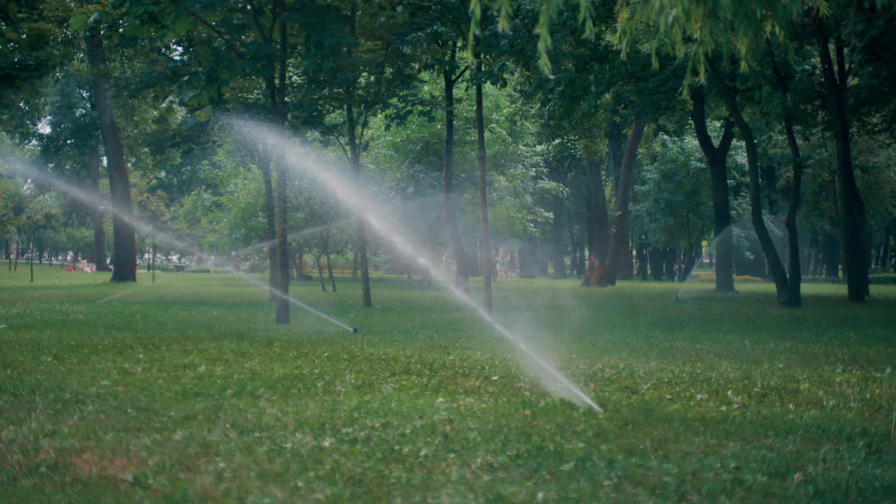 Automatic sprinklers system watering green lawn on sunny summer day at park.