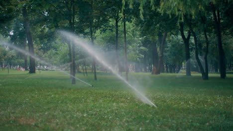 automatic sprinklers system watering green lawn on sunny summer day at park.