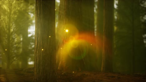 firefly-in-misty-forest-with-fog