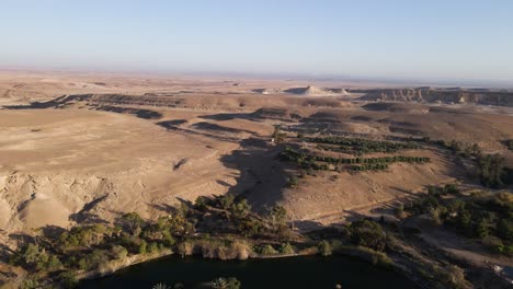 endless sandy desert and green oasis with water pond, aerial view