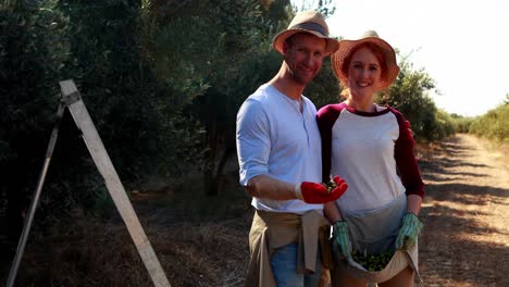 Portrait-of-smiling-couple-holding-olives-in-farm