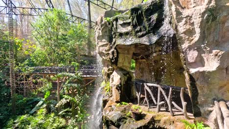 scenic waterfall surrounded by lush greenery