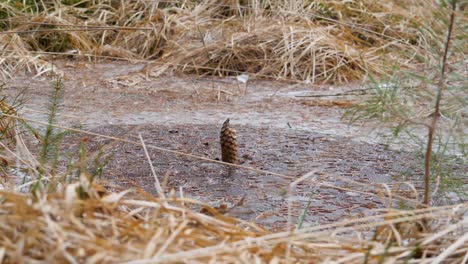 slowmotion of petards exploding under ice and moving cone