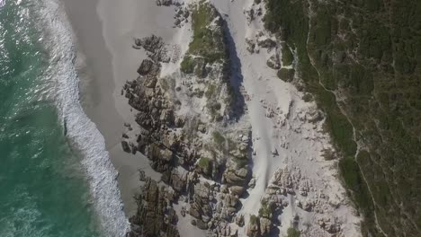 cape point nature reserve, south africa