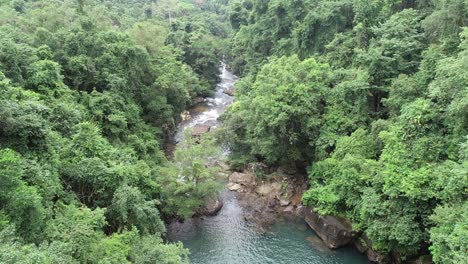 aerial view of a river flowing through a lush green forest