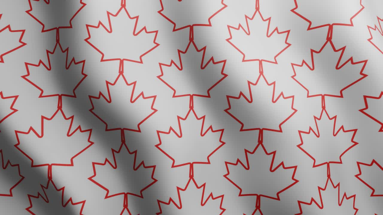 patrón animado de bucle con líneas delgadas hojas de arce rojo canadiense. fondo gráfico de movimiento geométrico ondulante