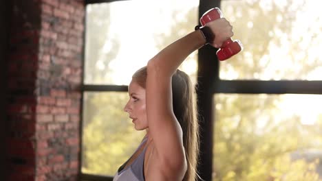 joven mujer deportiva está haciendo ejercicio físico con pesas en las manos. ella está construyendo su cuerpo - manos y espalda, perfecto