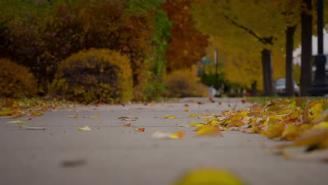 Wind-Weht-Auf-Der-Straße-Mit-Fallendem-Herbstlaub