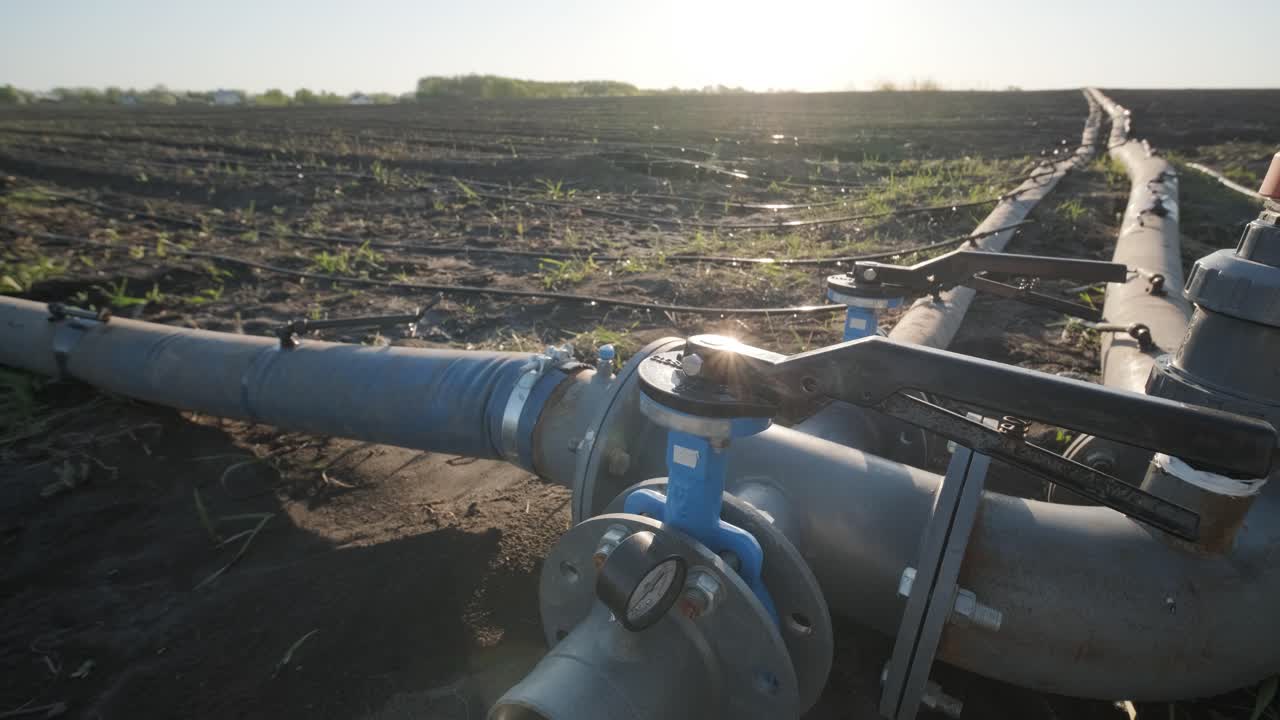 sistema de riego en tierras agrícolas. sistema de riego por goteo que ahorra agua que se utiliza en un campo.