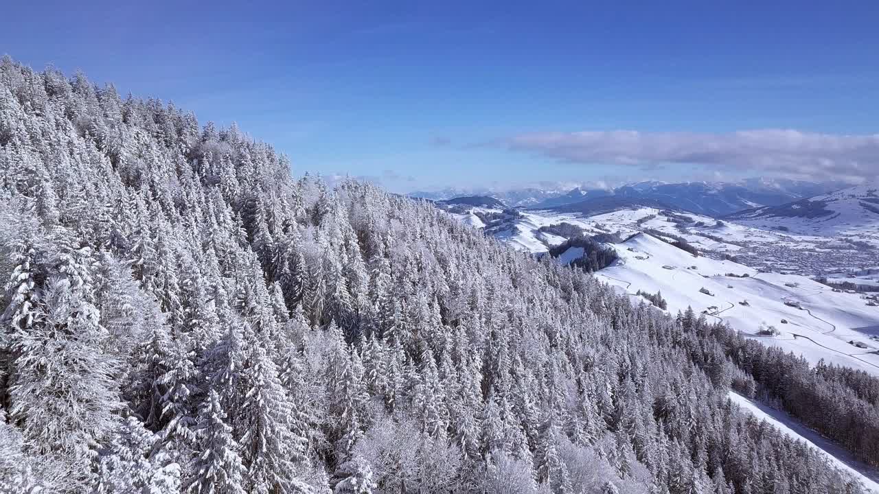 Makelloser immergrüner Wald eingebettet in tiefem Schnee an den Hängen der Hundwiler Höhe, Luftaufnahme, die sich entfernt