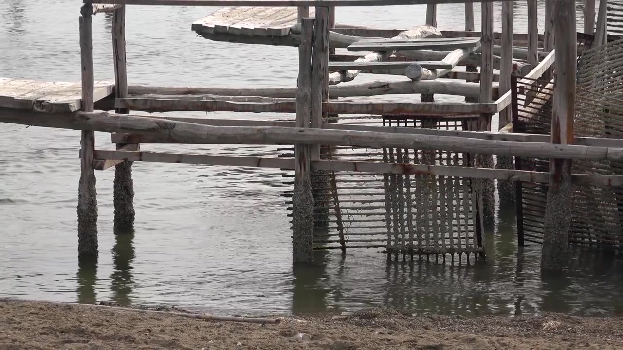 Wooden Pier Structure Over Calm Water at the Shoreline