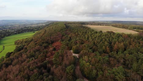 Vista-Aérea-De-Vuelo-Bosque-De-Otoño-Junto-A-Campos-Verdes-En-East-Hill-Devon